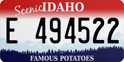 ID license plate E494522