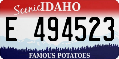 ID license plate E494523