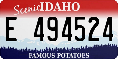 ID license plate E494524