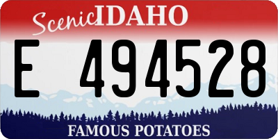 ID license plate E494528