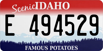 ID license plate E494529