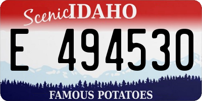 ID license plate E494530