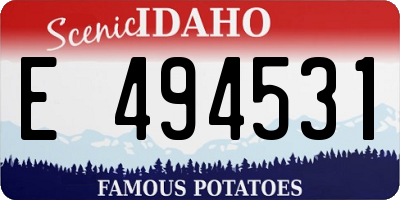 ID license plate E494531