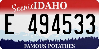 ID license plate E494533