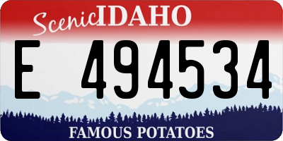 ID license plate E494534