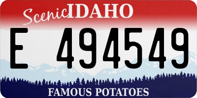 ID license plate E494549