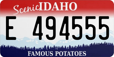 ID license plate E494555