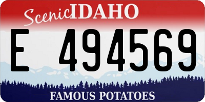 ID license plate E494569