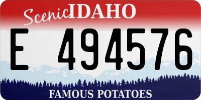 ID license plate E494576