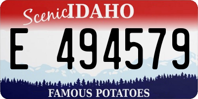 ID license plate E494579