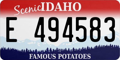 ID license plate E494583