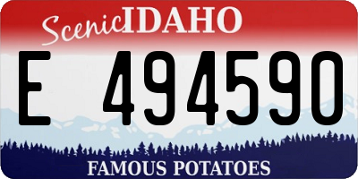 ID license plate E494590