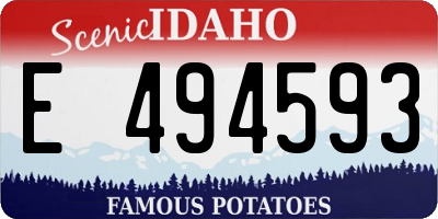 ID license plate E494593