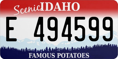 ID license plate E494599