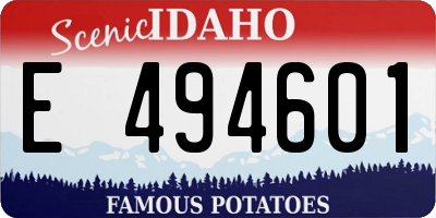 ID license plate E494601