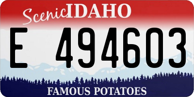 ID license plate E494603