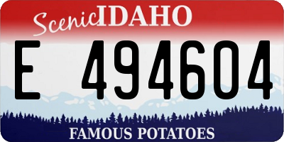 ID license plate E494604