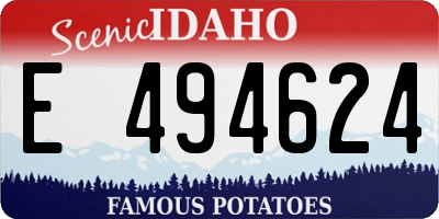 ID license plate E494624