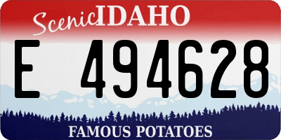 ID license plate E494628
