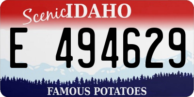 ID license plate E494629