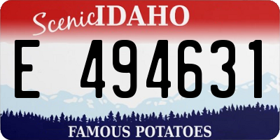 ID license plate E494631