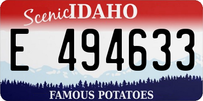 ID license plate E494633