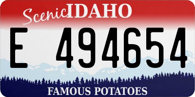 ID license plate E494654