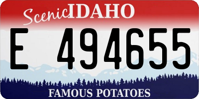 ID license plate E494655