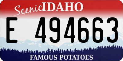ID license plate E494663