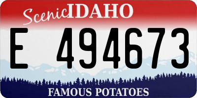 ID license plate E494673