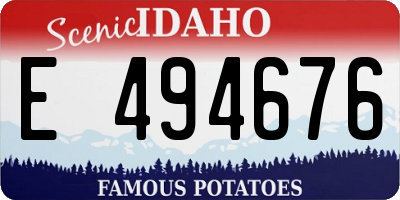 ID license plate E494676