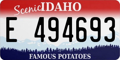 ID license plate E494693