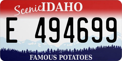 ID license plate E494699