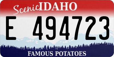 ID license plate E494723