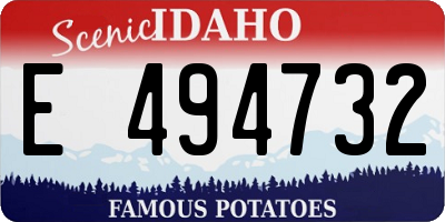 ID license plate E494732