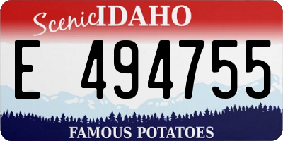 ID license plate E494755