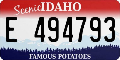 ID license plate E494793
