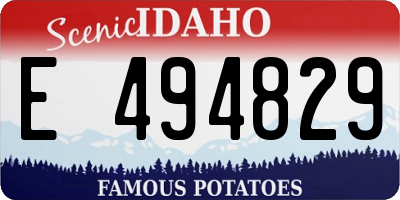 ID license plate E494829