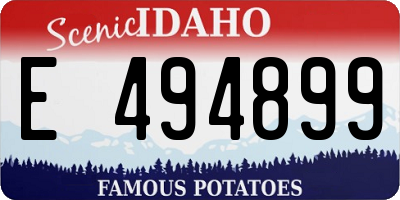 ID license plate E494899