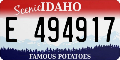 ID license plate E494917