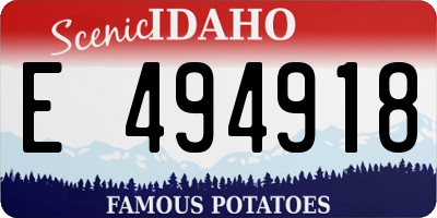 ID license plate E494918