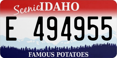 ID license plate E494955