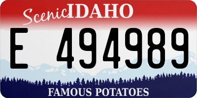 ID license plate E494989