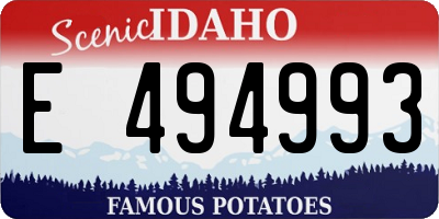 ID license plate E494993