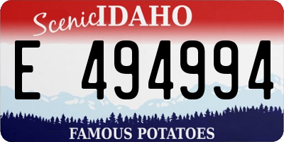 ID license plate E494994