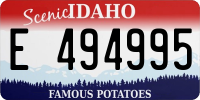 ID license plate E494995