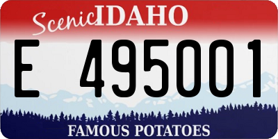 ID license plate E495001