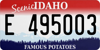 ID license plate E495003
