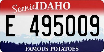 ID license plate E495009