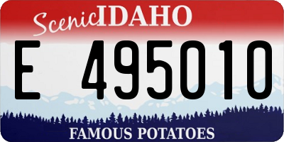 ID license plate E495010